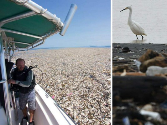 El plástico es el principal contaminante del ambiente en el mundo