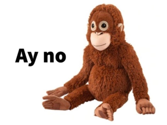 Estos fueron los mejores memes que marcaron el 2021 (FOTOS)