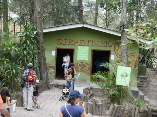 Listos dos nuevos recintos en el zoológico Rosy Walther de Tegucigalpa