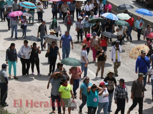 FOTOS: Las masivas protestas convocadas por médicos y maestros pese a la derogación de los PCM