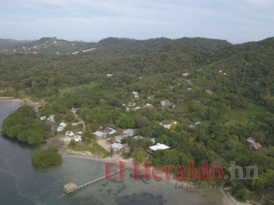 Próspera, Morazán, Orquídea o Agroalpha ¿Qué Zede tomará más territorio de Honduras?