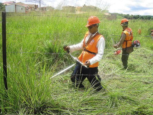 Multas a dueños de solares aumentan a 20 mil lempiras