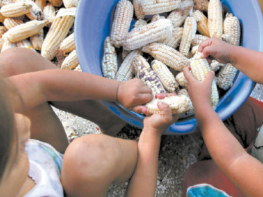 Campesinos de zona sur: 'Solo vamos a comer unos días con lo que se logró cosechar”
