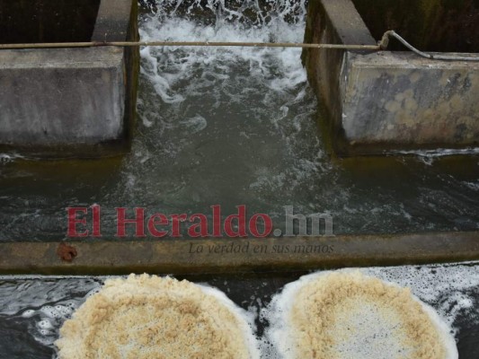 Racionamientos continuarán por bajos niveles en La Concepción