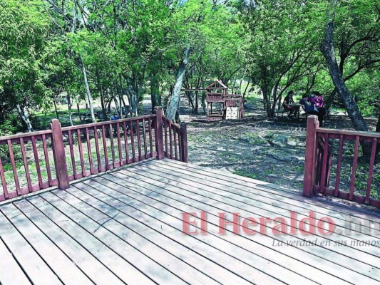 Pulmones del Distrito Central muestran la impresionante belleza de la naturaleza