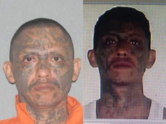 Una masacre, el asesinato de dos agentes y el atroz crimen de un niño, son parte de los sucesos de la semana en Honduras