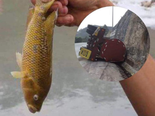 Detención judicial a conductor guatemalteco que contaminó el río Chamelecón