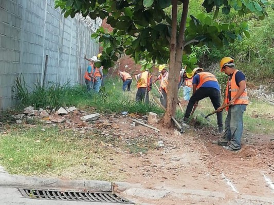 Denuncian otra vez a ASJ por construcción de edificio en Villa Universitaria