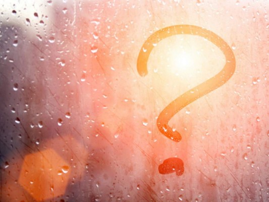 Octavio Carvajal: ¡Desaparecidos!