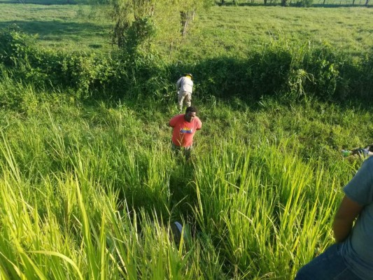 Lo que se sabe sobre el trágico accidente que dejó 5 muertos en La Ceiba