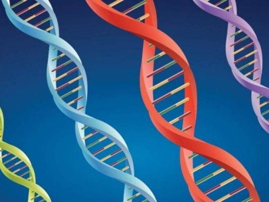 Los principales acontecimientos científicos que marcaron 2021 (Fotos)