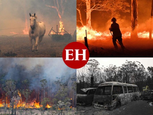 FOTOS: Personas bloqueadas en playas de Australia por incendios; van ocho muertos  