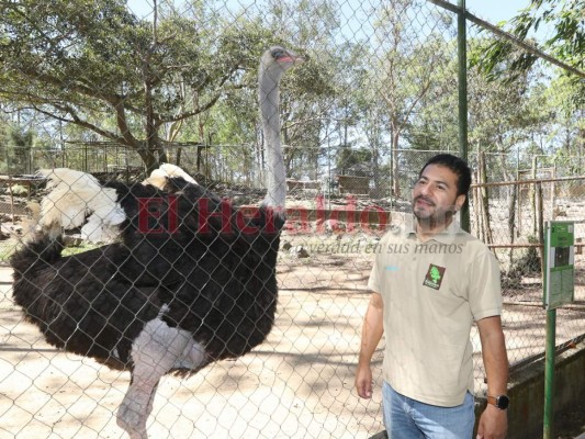 Eduardo Rico, en Tictac: 'De joven tuve bastantes novias e inquietudes”