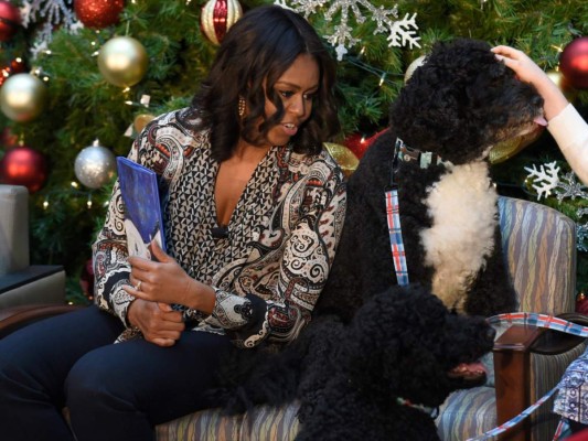 Los perros de la familia Obama no solo comen y duermen