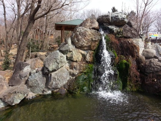 Una lucha ambiental que empieza en casa