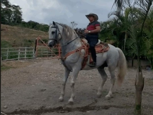 Los lujos que mostraba el extraditable hondureño Óscar Santos Tobar en TikTok