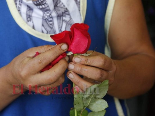Flores, dulces y pastel: así festejan los capitalinos el Día de las Madres