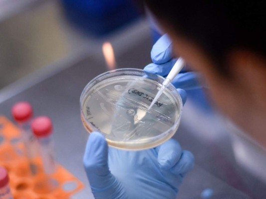 Vacuna contra covid-19 es aún posible este año pese a interrupción de ensayos