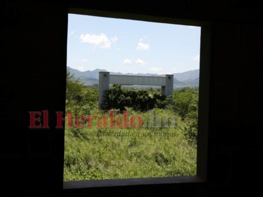 En selva y hábitat de serpientes se convirtió la megacárcel de Naco (Fotos)