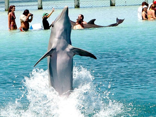 Actividades turísticas del caribe hondureño