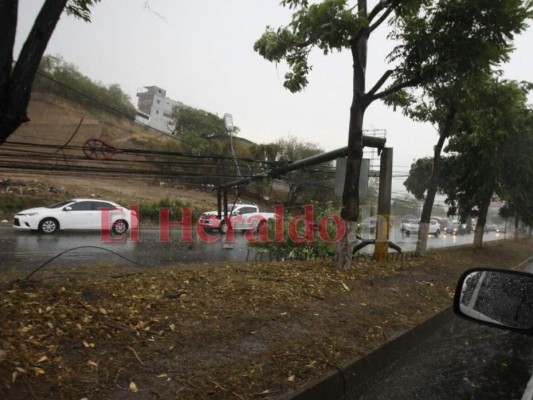 FOTOS: Postes caídos, mercados y calles inundadas, así permanecía la capital durante intensa lluvia