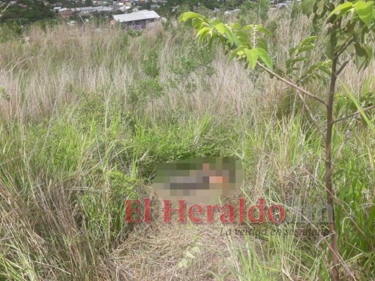 En estado de putrefacción hallan a joven mécanico enfrente del anillo periférico de la capital