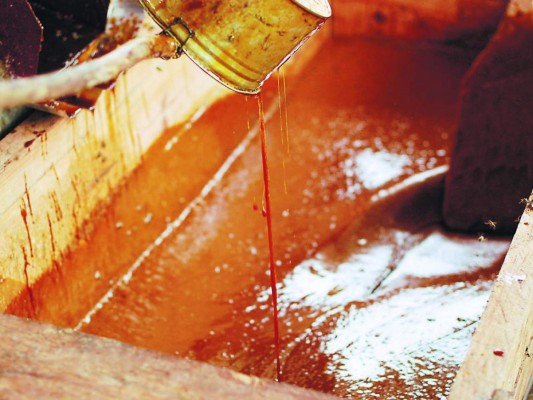 Rapaduras de Cantarranas, una dulce manera de cuidar el medio ambiente