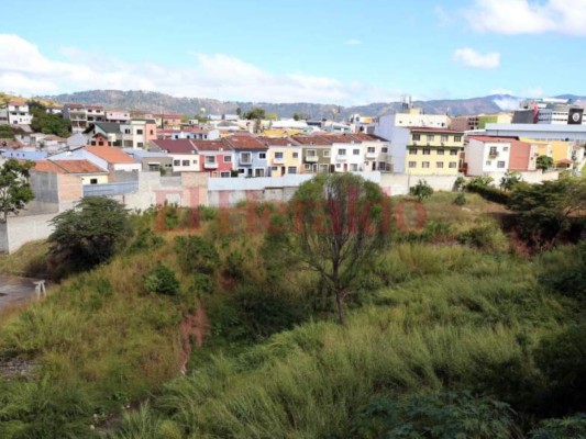 Alcaldía adjudicará en febrero primera etapa del Jardín Botánico en la colonia Hato de Enmedio
