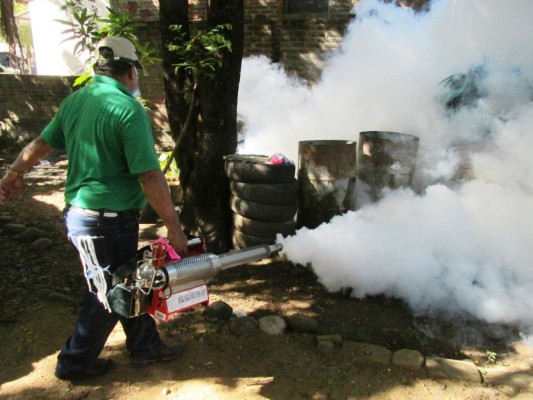 Honduras: Aedes aegypti invade Choluteca