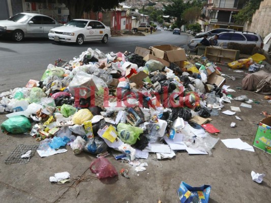 Vecinos de residencial Plaza solicitan contenedores a la Alcaldía Municipal