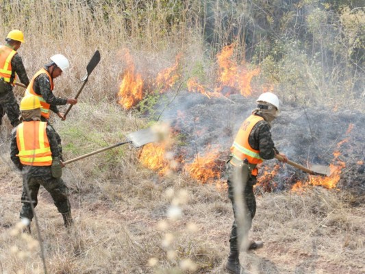 Voraz incendio consume unas 30 hectáreas de bosque de la capital