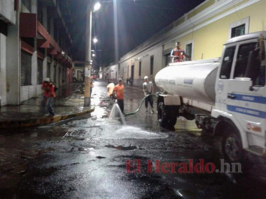Lienzos de fe y creatividad cubrirán las calles de la capital