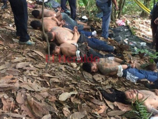 Mara Salvatrucha en El Merendón: pandilleros convierten cordillera en centro de acopio