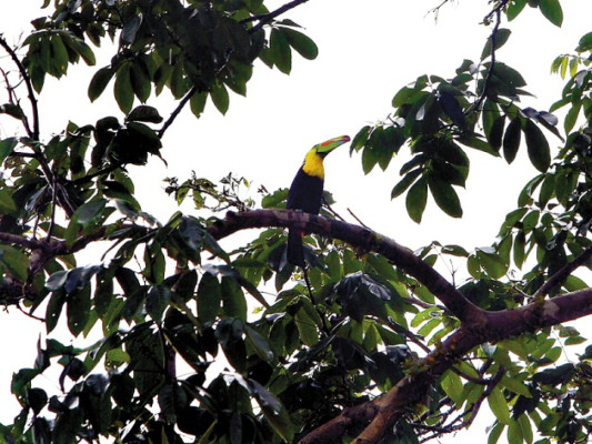 Un reino natural impresionante