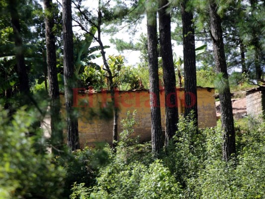 Orden y seguridad piden pobladores de Limones en La Tigra