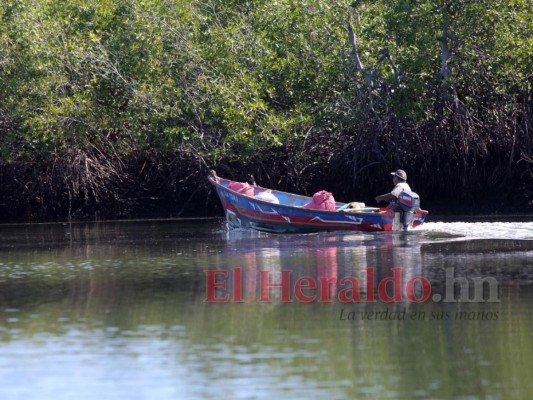 Playas, gastronomía y deportes acuáticos: todo lo encuentras en el sur de Honduras