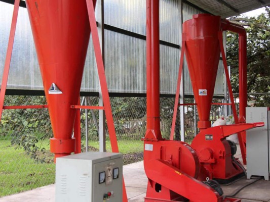 Honduras: Siguatepeque investigará y producirá dendroenergía