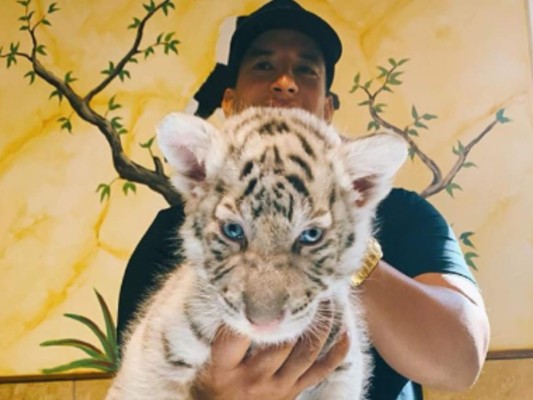 Critican a Daddy Yankee por posar con un león encadenado