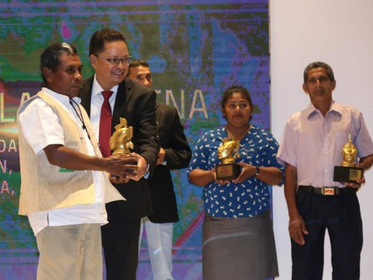 El cacao, una oportunidad para generar empleos en La Mosquitia