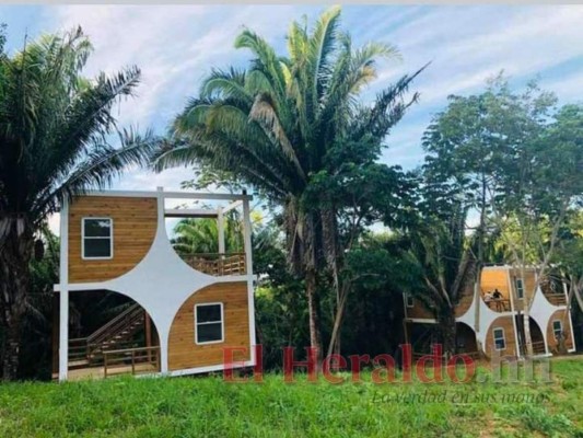 Próspera, Morazán, Orquídea o Agroalpha ¿Qué Zede tomará más territorio de Honduras?