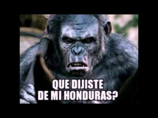 Los ocurrentes memes del partido Honduras contra México