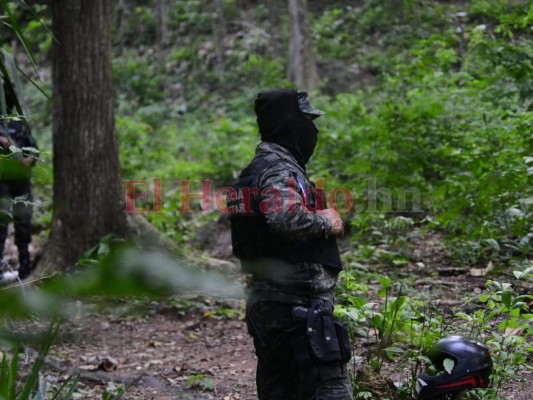 Disparos y confrontación, así fue la captura de mareros en El Merendón