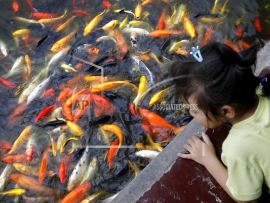 Proponen subir los impuestos en China a las familias con menos de dos hijos&nbsp;