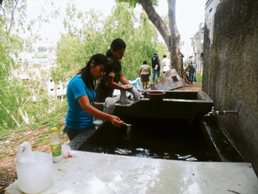 Hoy inician intervenciones masivas contra el dengue