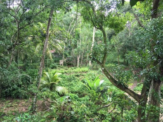 Continúan aseguramientos de más de 57 bienes de 'Don H'