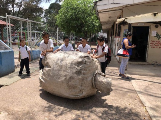 Inician cambios en las escuelas ambientalistas