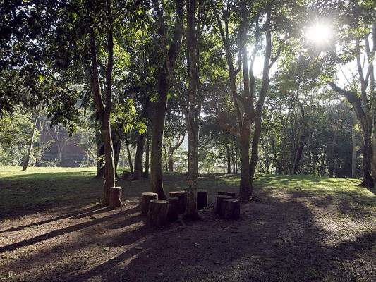 Río Amarillo y Rastrojón