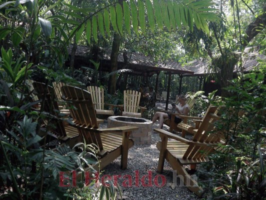 La vasta riqueza natural de Bioparque Paradise y DyD Brewery, Lodge, and Restaurant