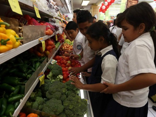 Alumnos aprenden a cuidar el ambiente con visitas a Paiz