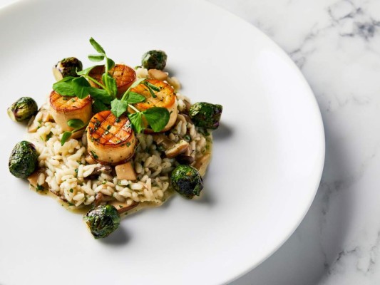 Globos de Oro 2020: Muestran platillos veganos que se servirán en los premios